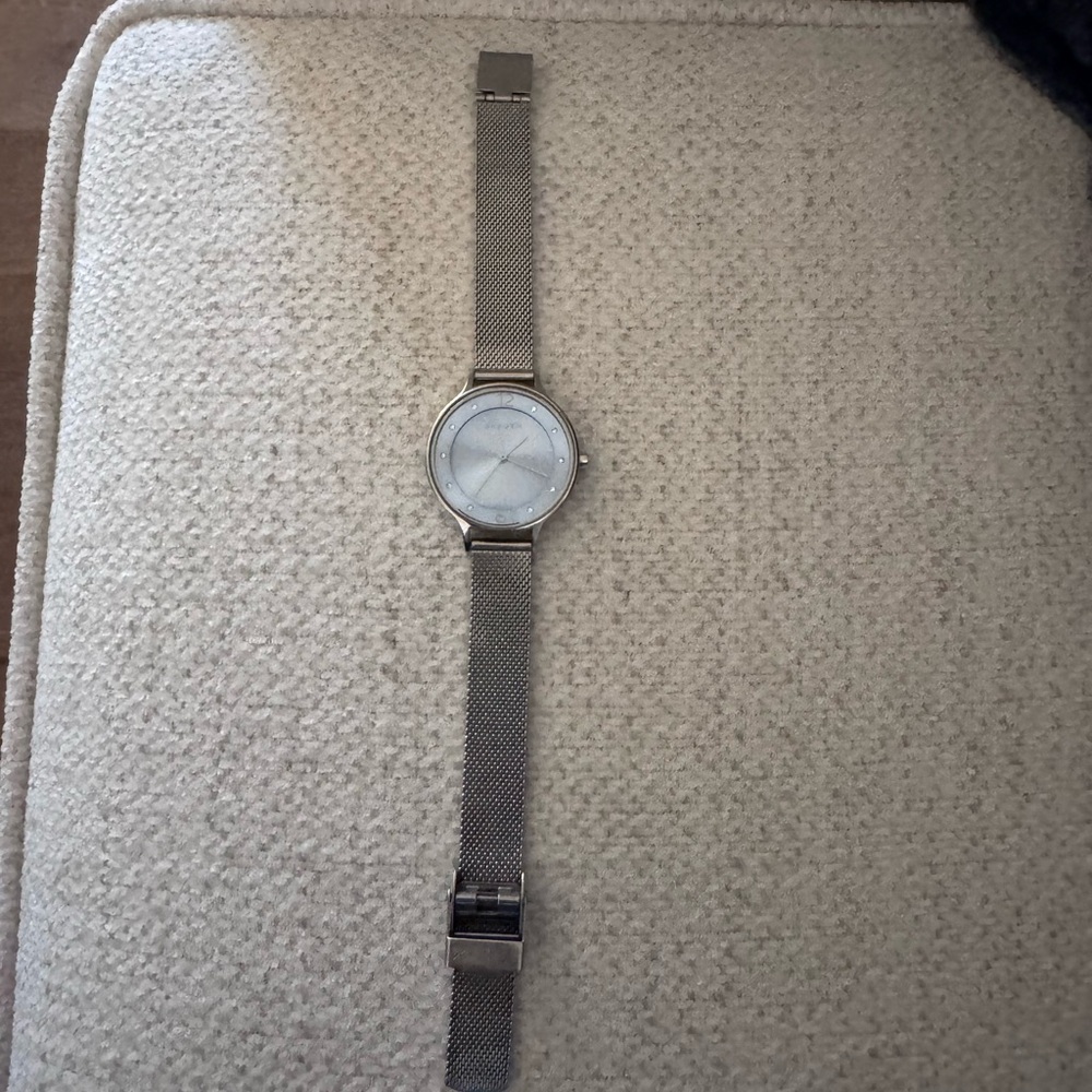 Skagen Silver Mesh Women's Watch